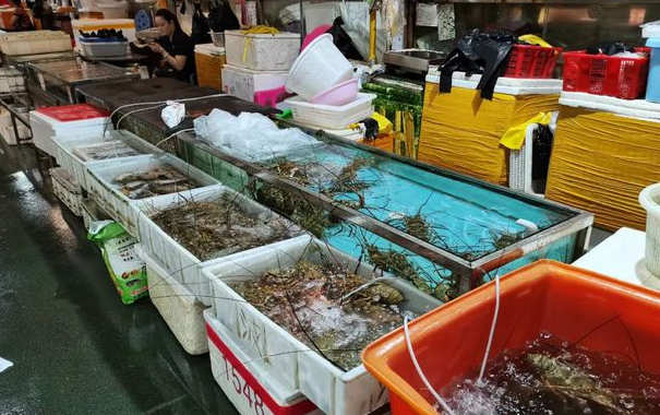 廣東省主要水產品批發(fā)市場一覽